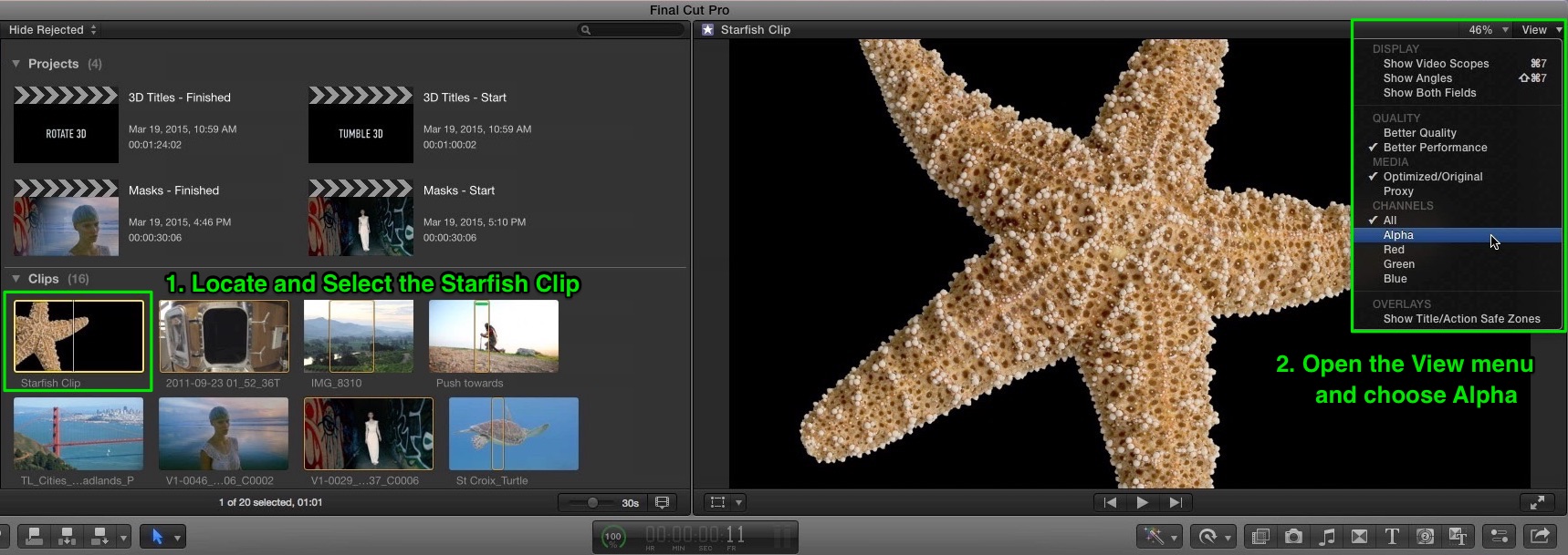 Locate the Starfish clip in the browser.