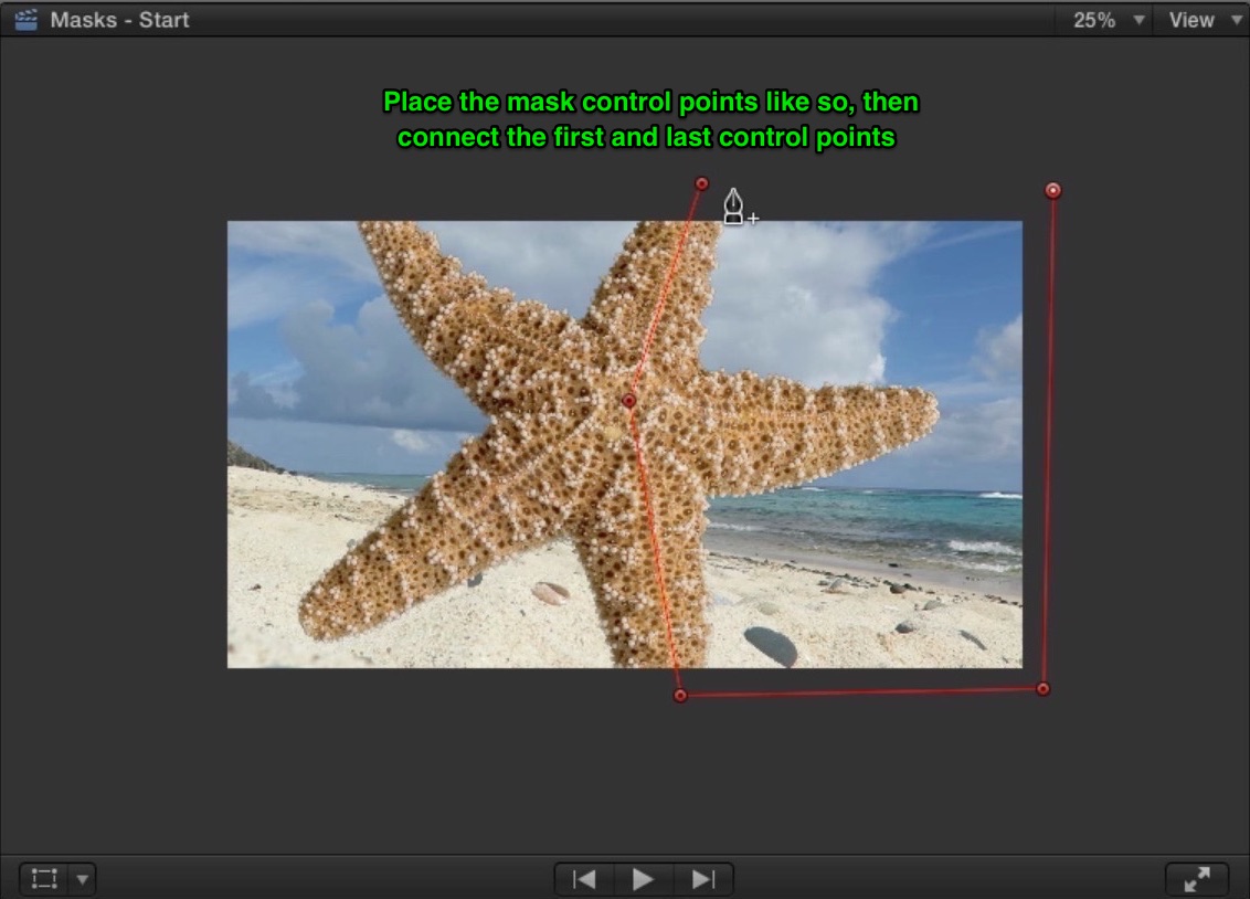 Draw the mask through the starfish and around the frame.