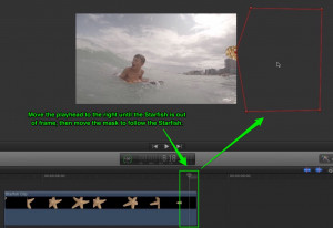 Move the Playhead to the end of the clip, and move the mask to follow the Starfish.