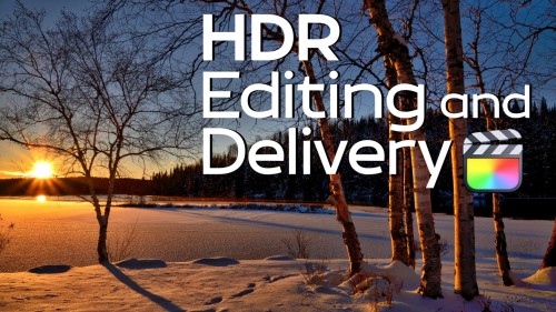 Ripple Training: Video editing tutorials for the best editing software for PC and Mac.