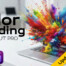 Color Grading in FCP 12, Ripple Training: Video editing tutorials for the best editing software for PC and Mac.
